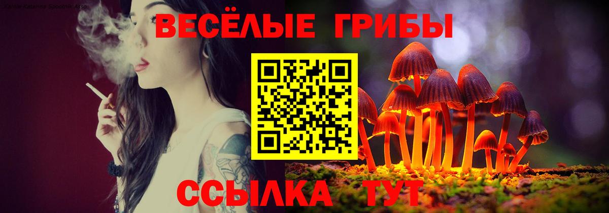 Галлюциногенные грибы ЛСД Энгельс