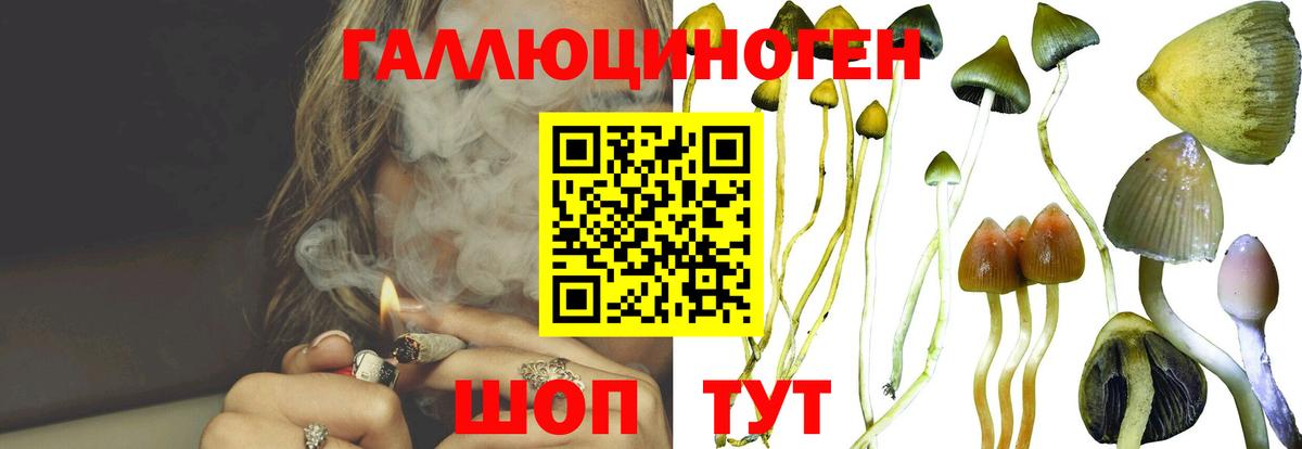 Галлюциногенные грибы Magic Shrooms  Вход с VPN  Энгельс 